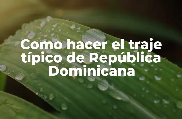 Como Hacer el Traje Típico de República Dominicana 2 ¿Qué es el traje típico de República Dominicana?