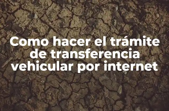 Como Hacer el Trámite de Transferencia Vehicular por Internet