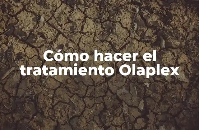 Cómo Hacer el Tratamiento Olaplex