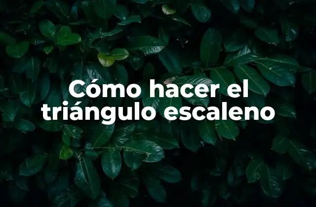 Cómo Hacer el Triángulo Escaleno