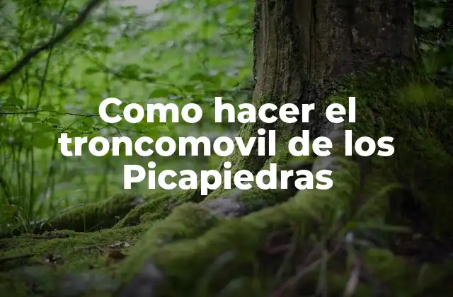 Como Hacer el Troncomovil de los Picapiedras
