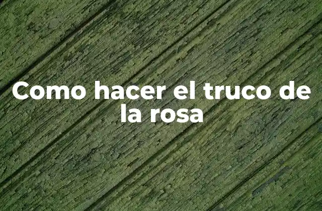 Como Hacer el Truco de la Rosa