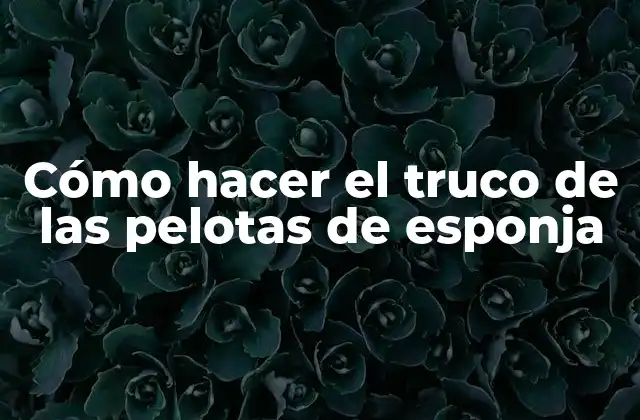 Cómo Hacer el Truco de las Pelotas de Esponja