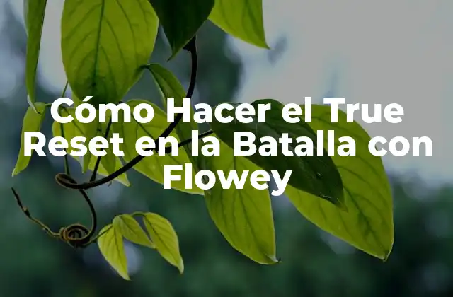 Cómo Hacer el True Reset en la Batalla con Flowey