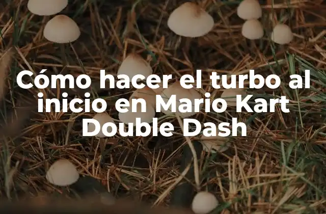 Cómo Hacer el Turbo Al Inicio en Mario Kart Double Dash