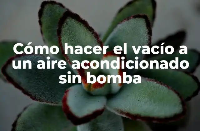 Cómo Hacer el Vacío a un Aire Acondicionado sin Bomba