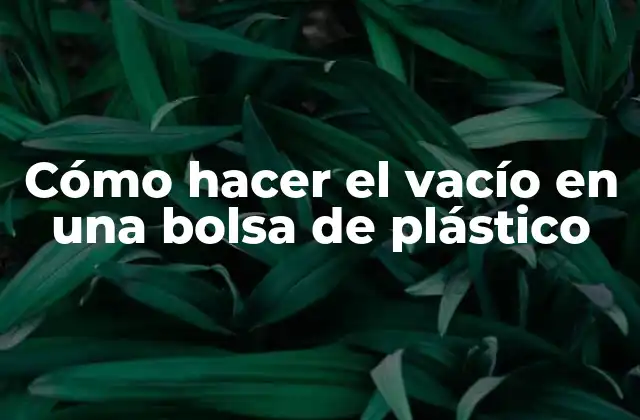 Cómo Hacer el Vacío en una Bolsa de Plástico