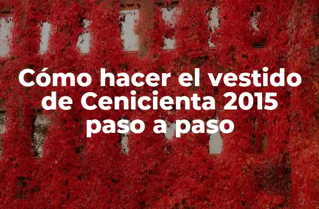 Cómo Hacer el Vestido de Cenicienta 2015 Paso a Paso