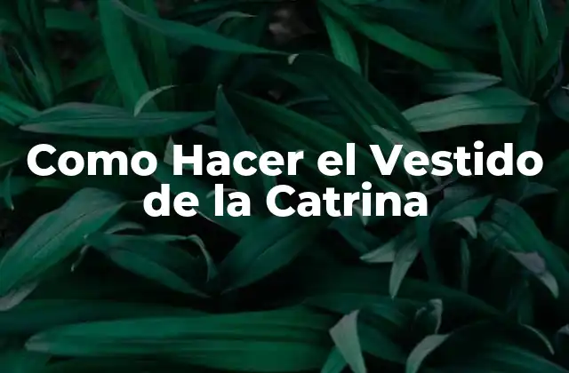 Como Hacer el Vestido de la Catrina