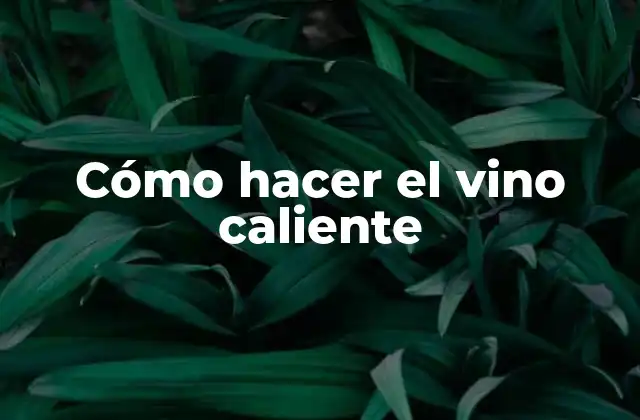 Cómo Hacer el Vino Caliente