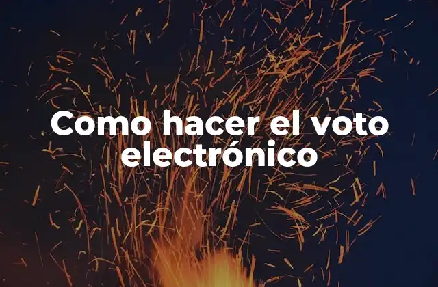 Como Hacer el Voto Electrónico 2 ¿Qué es el voto electrónico?