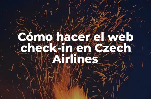 Cómo Hacer el Web Check-in en Czech Airlines