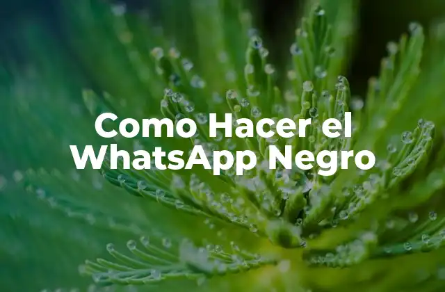 ¿Qué es WhatsApp Negro y para Qué Sirve?