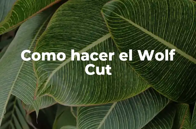 Como Hacer el Wolf Cut
