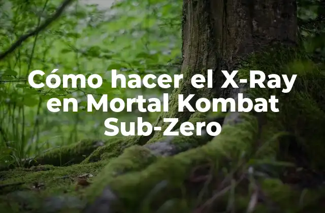 Cómo hacer el X-Ray en Mortal Kombat Sub-Zero