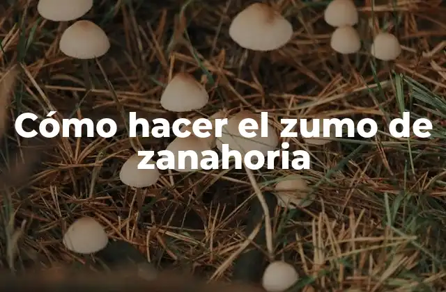 Cómo Hacer el Zumo de Zanahoria