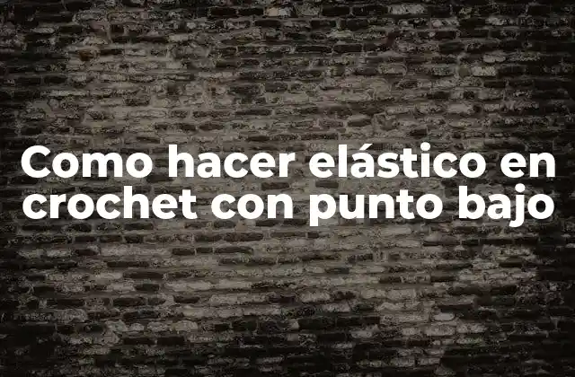 Como Hacer Elástico en Crochet con Punto bajo