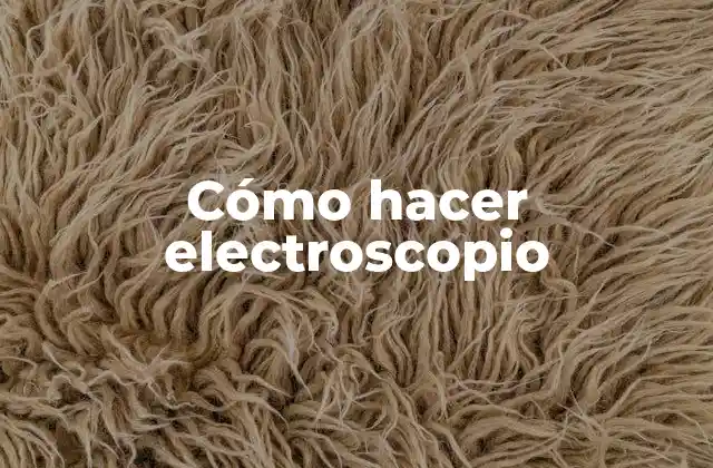 Cómo Hacer Electroscopio