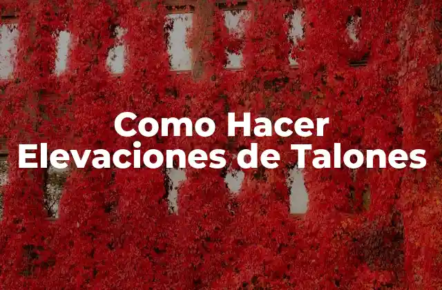 Como Hacer Elevaciones de Talones 2 ¿Qué son las Elevaciones de Talones?