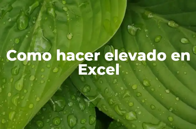 Como Hacer Elevado en Excel