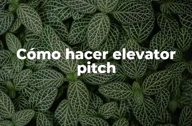Cómo Hacer Elevator Pitch