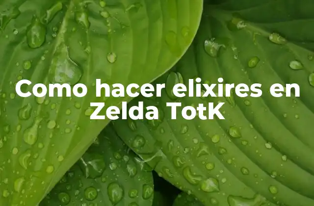 Como Hacer Elixires en Zelda Totk