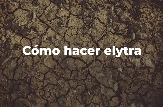 Cómo Hacer Elytra