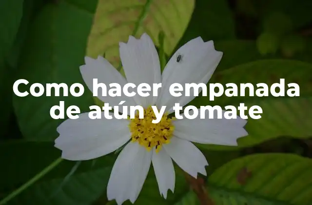 Como Hacer Empanada de Atún y Tomate