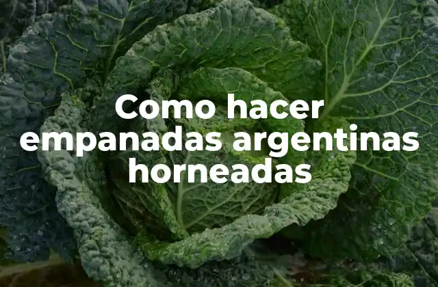 Como Hacer Empanadas Argentinas Horneadas