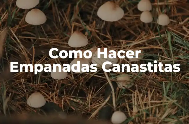 Como Hacer Empanadas Canastitas