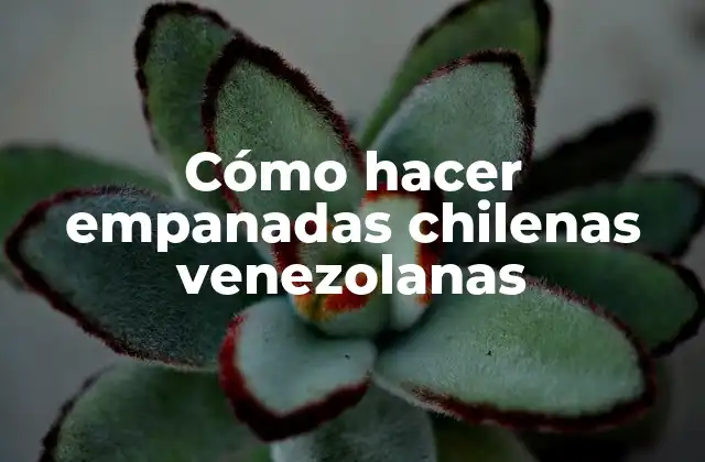 Cómo Hacer Empanadas Chilenas Venezolanas