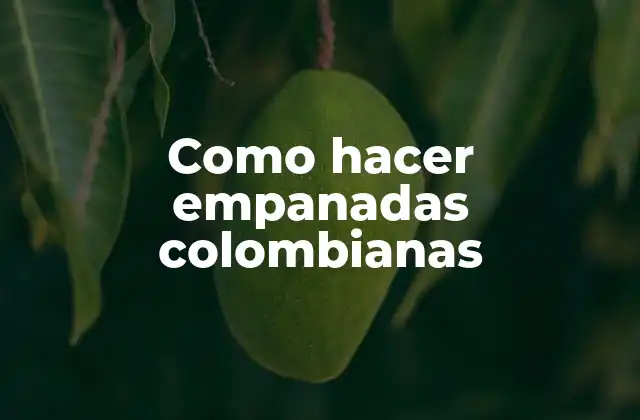 Como Hacer Empanadas Colombianas