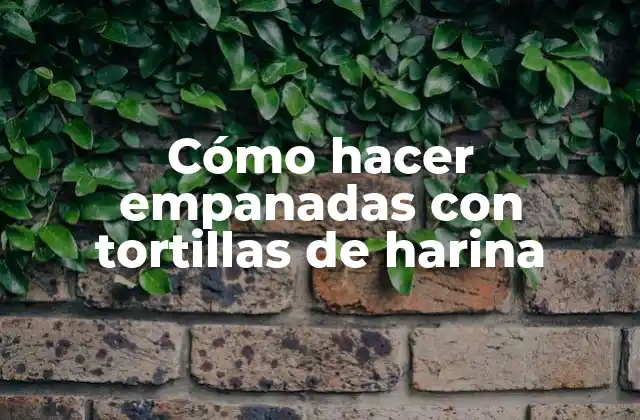 Cómo Hacer Empanadas con Tortillas de Harina