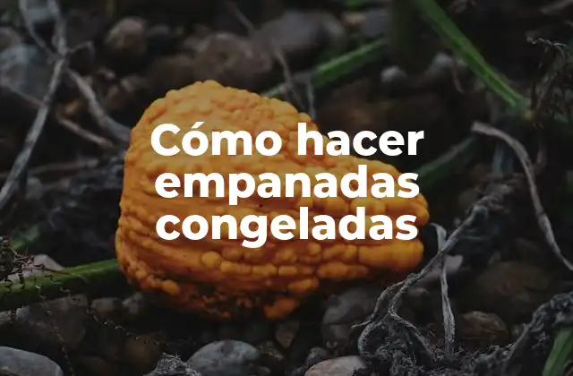 Cómo Hacer Empanadas Congeladas