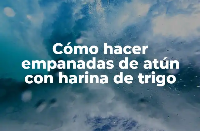 Cómo Hacer Empanadas de Atún con Harina de Trigo 2 ¿Qué son las empanadas de atún con harina de trigo y para qué sirven?