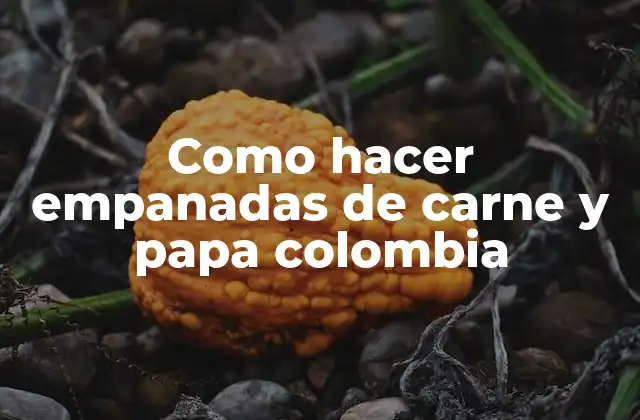 Como Hacer Empanadas de Carne y Papa Colombia
