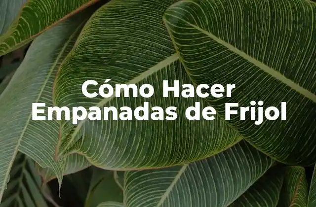 Cómo Hacer Empanadas de Frijol