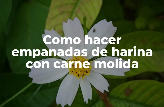 Como Hacer Empanadas de Harina con Carne Molida