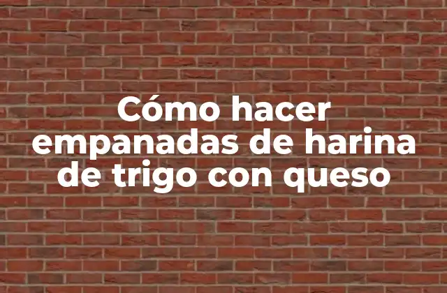Cómo Hacer Empanadas de Harina de Trigo con Queso
