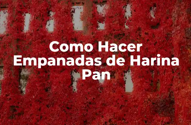 ¿Qué son las Empanadas de Harina Pan?