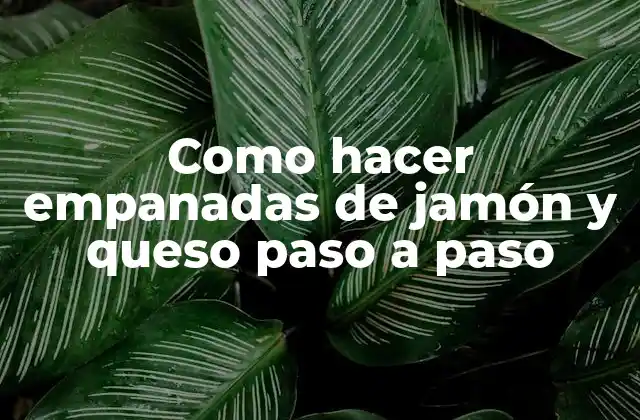 Como Hacer Empanadas de Jamón y Queso Paso a Paso