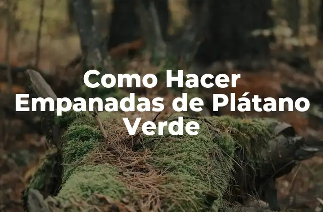 Como Hacer Empanadas de Plátano Verde 2 ¿Qué son Empanadas de Plátano Verde y para qué Sirven?