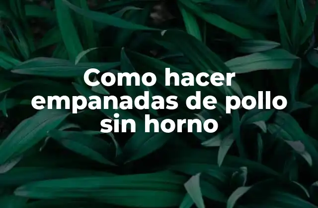 Como Hacer Empanadas de Pollo sin Horno 2 Empanadas de pollo sin horno: ¿Qué son y cómo se utilizan?