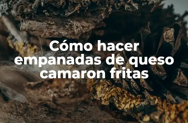 Cómo Hacer Empanadas de Queso Camaron Fritas