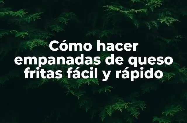 ¿Qué son empanadas de queso fritas?