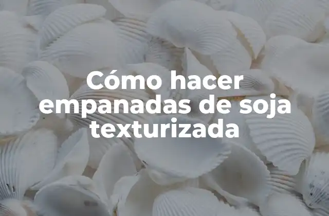 Cómo Hacer Empanadas de Soja Texturizada