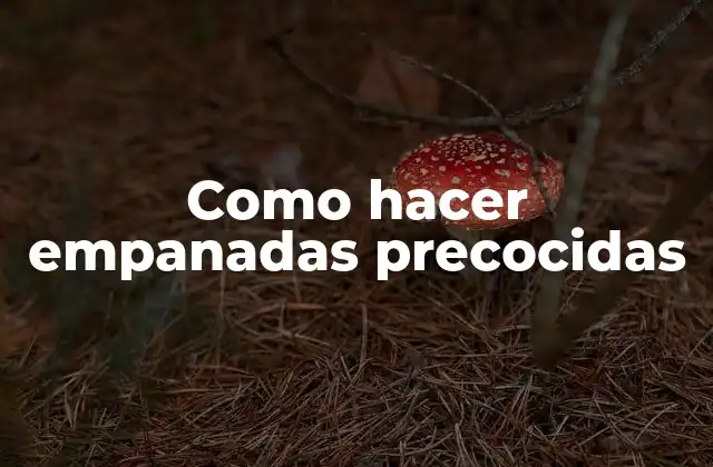 Como Hacer Empanadas Precocidas