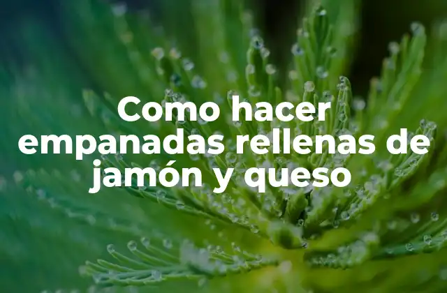 Como Hacer Empanadas Rellenas de Jamón y Queso 2 Empanadas rellenas de jamón y queso: la combinación perfecta