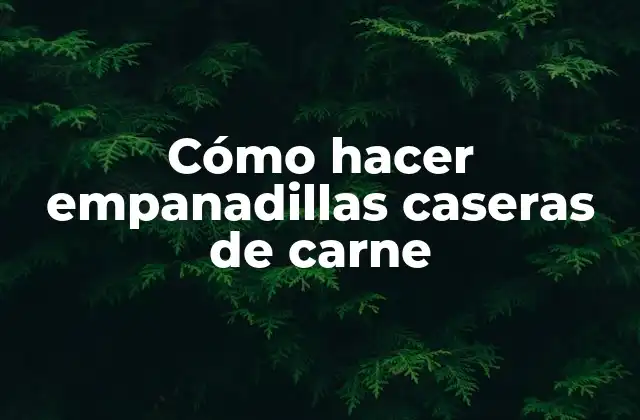 Cómo Hacer Empanadillas Caseras de Carne