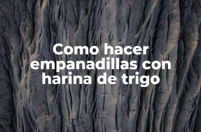 Empanadillas con harina de trigo: qué son y para qué sirven